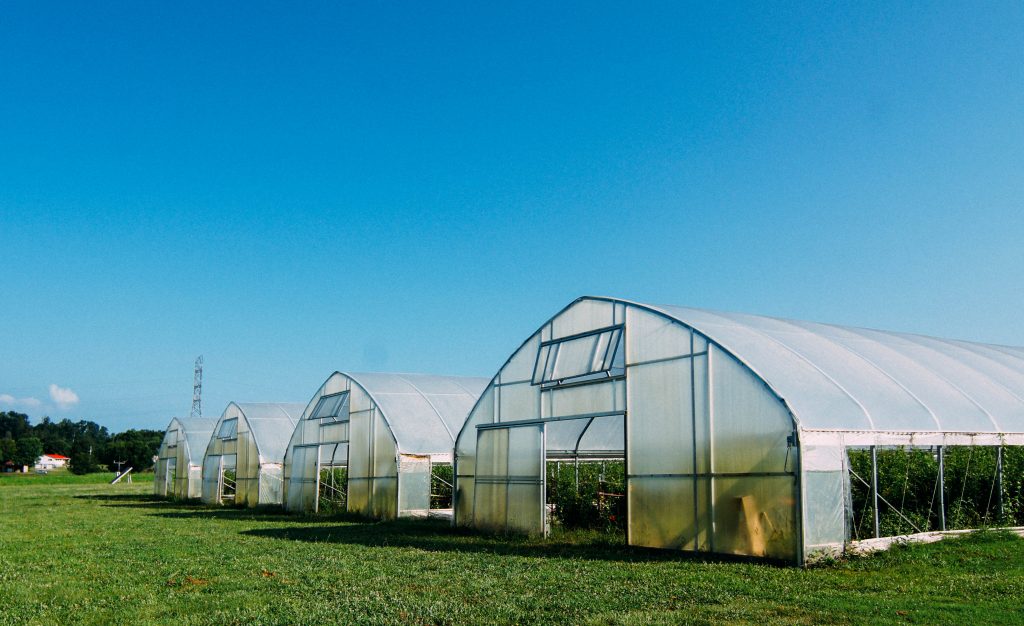 High Tunnels UT Vegetable Production