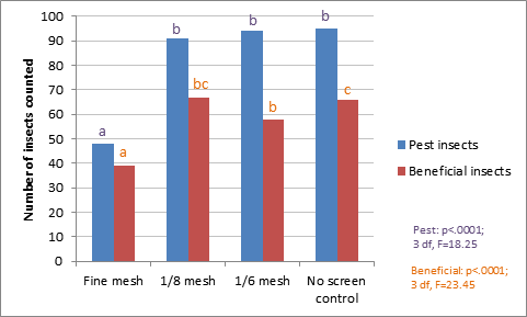 BMSB figure 1