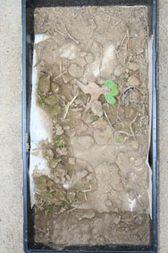 Dana's soil control_small