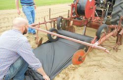 Man working in garden