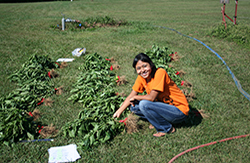 Woman working in garden