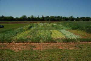 Roller Crimped Fields